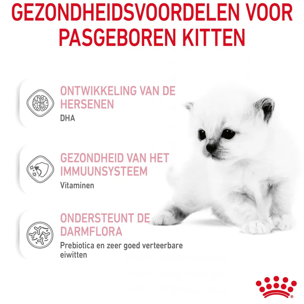 Royal Canin Babycat Milk kittenmelk