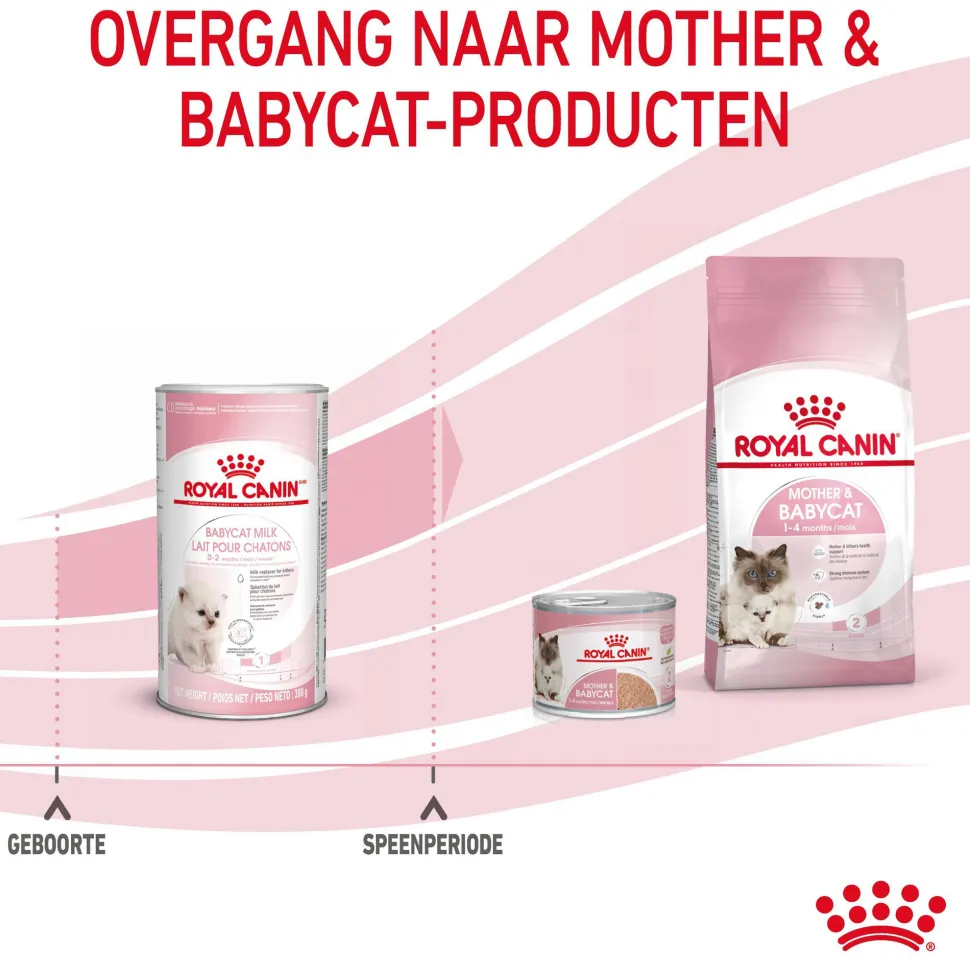 Royal Canin Babycat Milk kittenmelk
