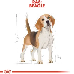 Royal Canin Beagle Adult - Hondenvoer