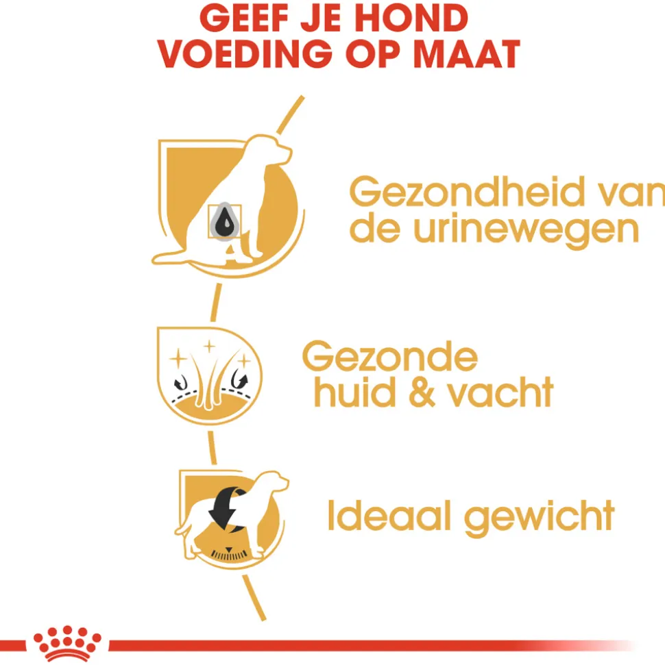 Royal Canin Bichon Frisé Adult - Hondenvoer