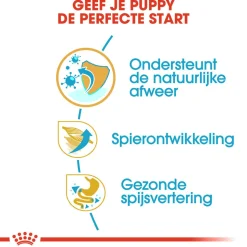 Royal Canin Boxer Puppy - Hondenvoer