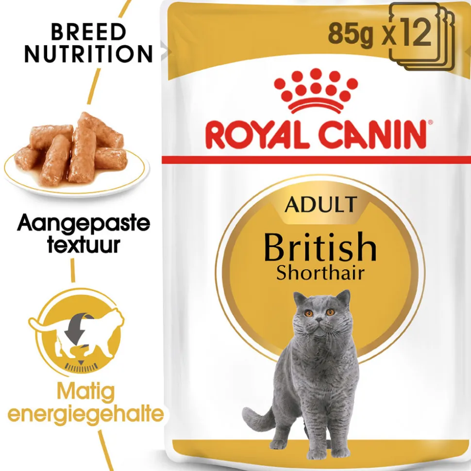 Royal Canin British Shorthair Adult Wet - Kattenvoer
