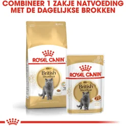 Royal Canin British Shorthair Adult Wet - Kattenvoer
