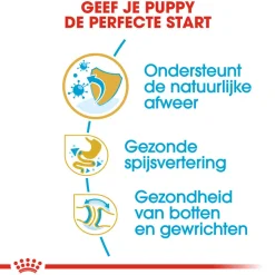 Royal Canin Bulldog Puppy - Hondenvoer