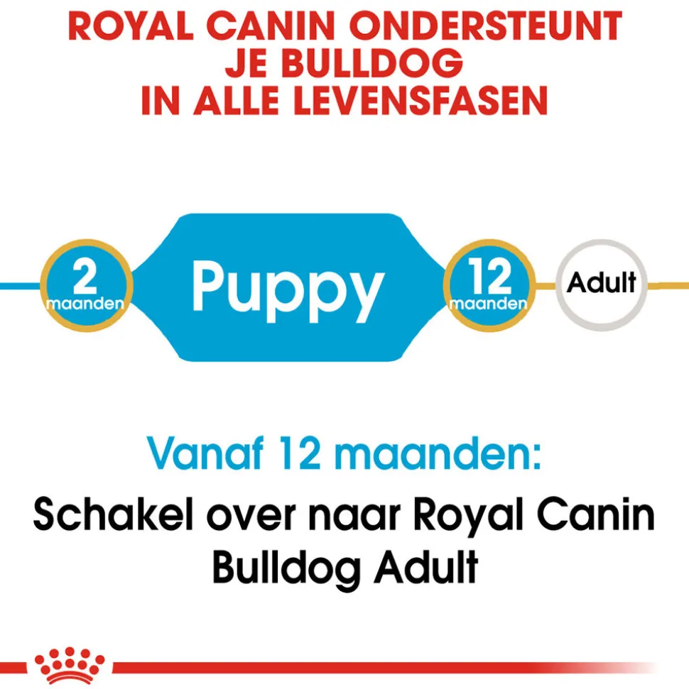 Royal Canin Bulldog Puppy - Hondenvoer