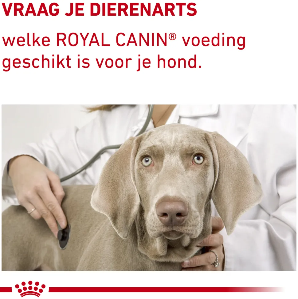 Royal Canin Calm Diet Hond