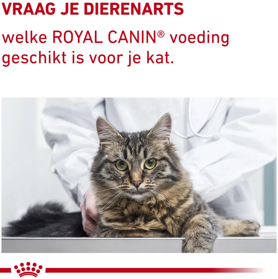 Royal Canin Calm Diet Kat