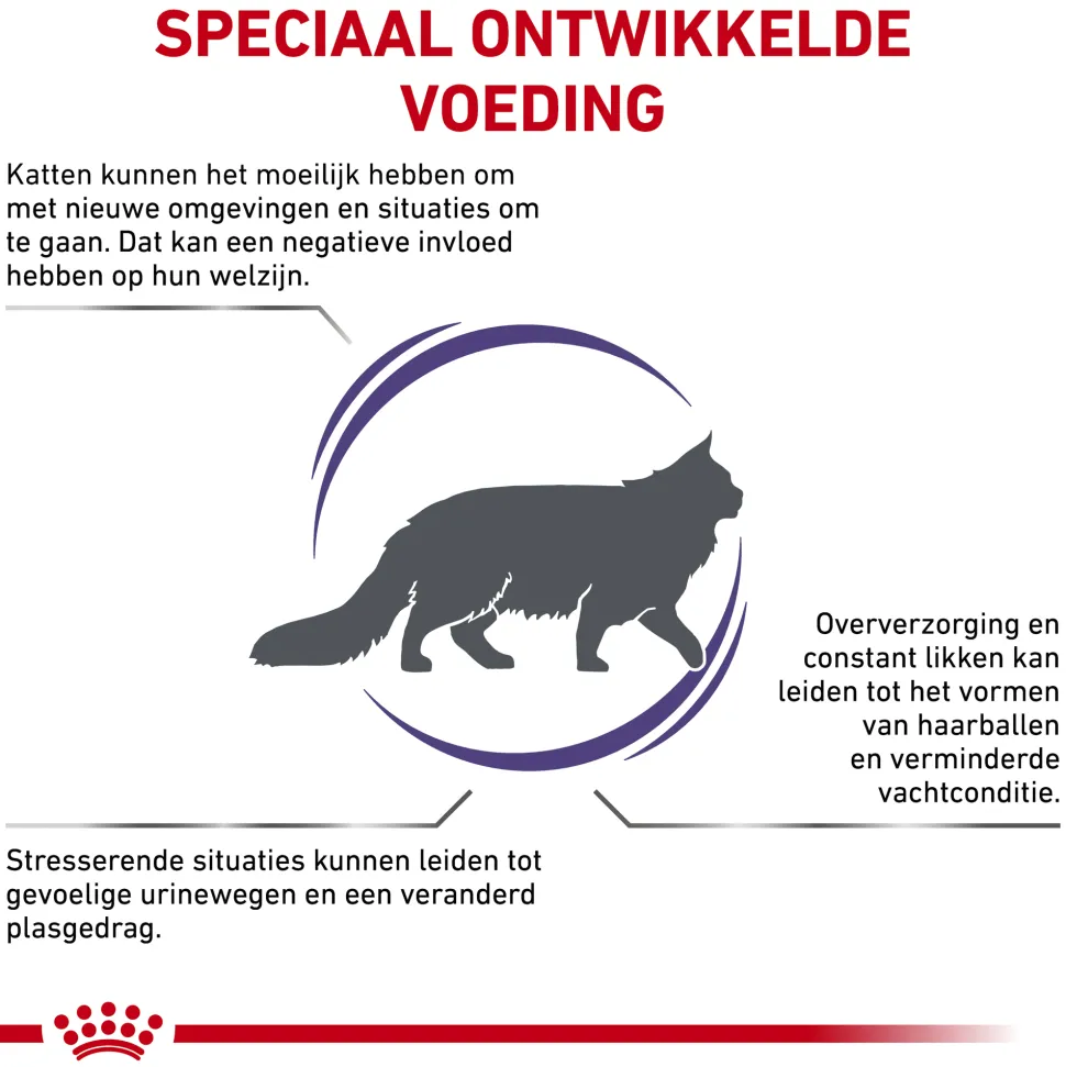 Royal Canin Calm Diet Kat