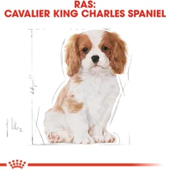 Royal Canin Cavalier King Charles Puppy - Hondenvoer