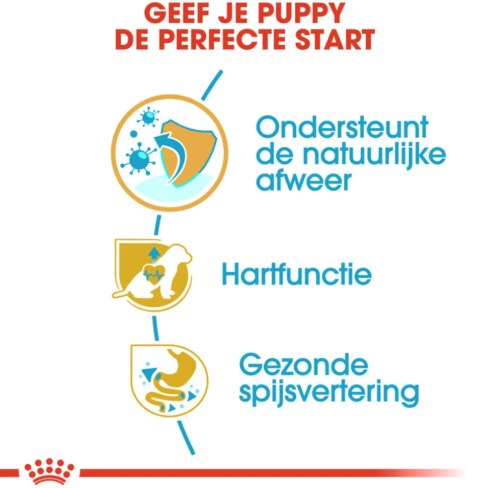 Royal Canin Cavalier King Charles Puppy - Hondenvoer