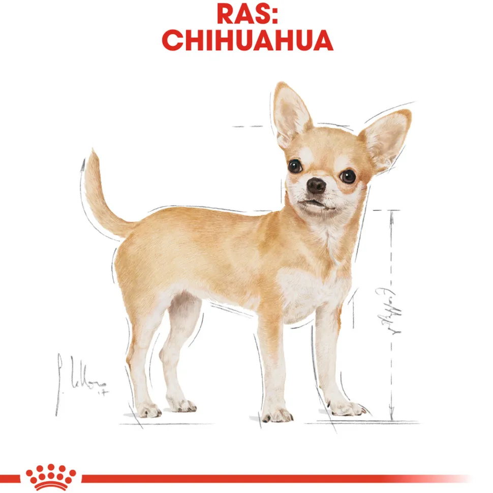 Royal Canin Chihuahua Adult - Hondenvoer