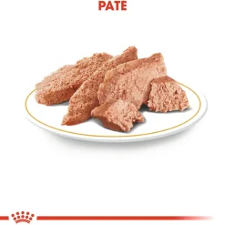 Royal Canin Chihuahua Adult Wet - Hondenvoer