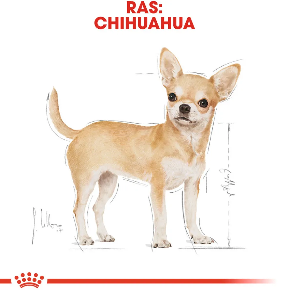 Royal Canin Chihuahua Adult Wet - Hondenvoer