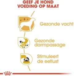 Royal Canin Chihuahua Adult Wet - Hondenvoer