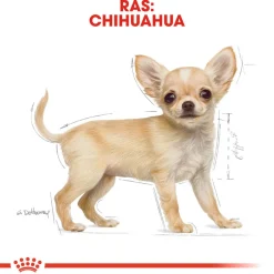 Royal Canin Chihuahua Puppy - Hondenvoer