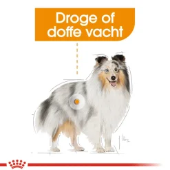 Royal Canin Coat Care Wet - Hondenvoer