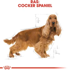 Royal Canin Cocker Adult - Hondenvoer