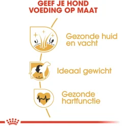 Royal Canin Cocker Adult - Hondenvoer