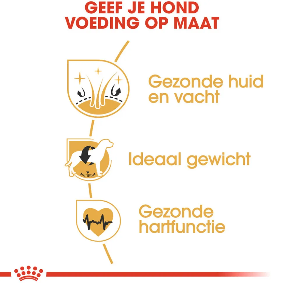 Royal Canin Cocker Adult - Hondenvoer