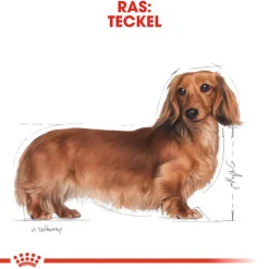 Royal Canin Dachshund Adult Wet - Hondenvoer