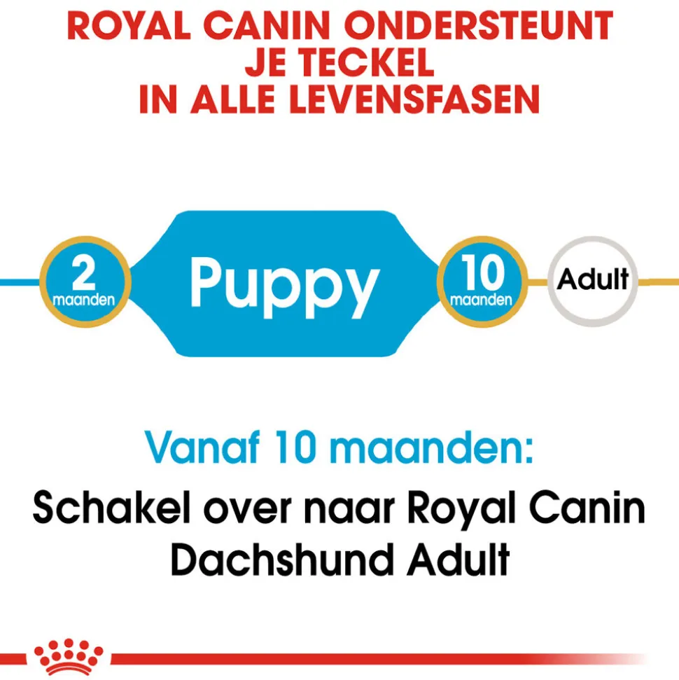 Royal Canin Dachshund Puppy - Hondenvoer