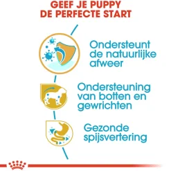Royal Canin Dachshund Puppy - Hondenvoer