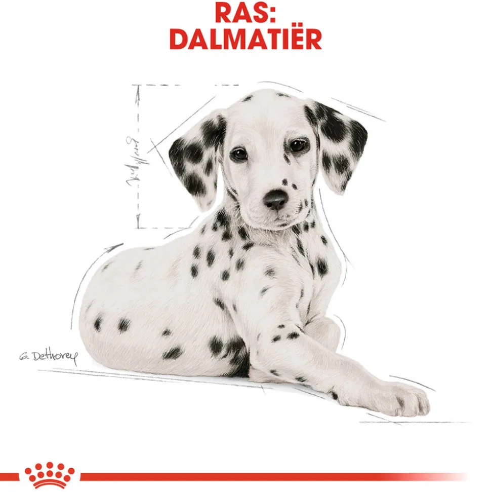 Royal Canin Dalmatian Puppy - Hondenvoer