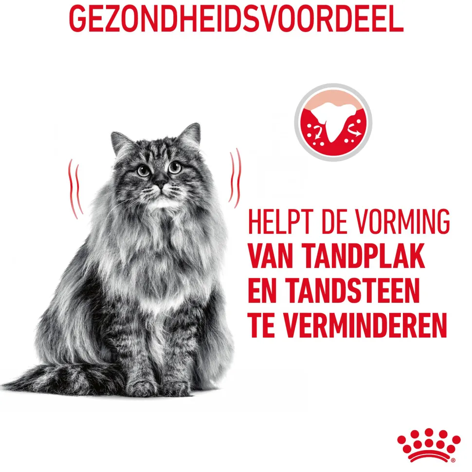 Royal Canin Dental Care - Kattenvoer