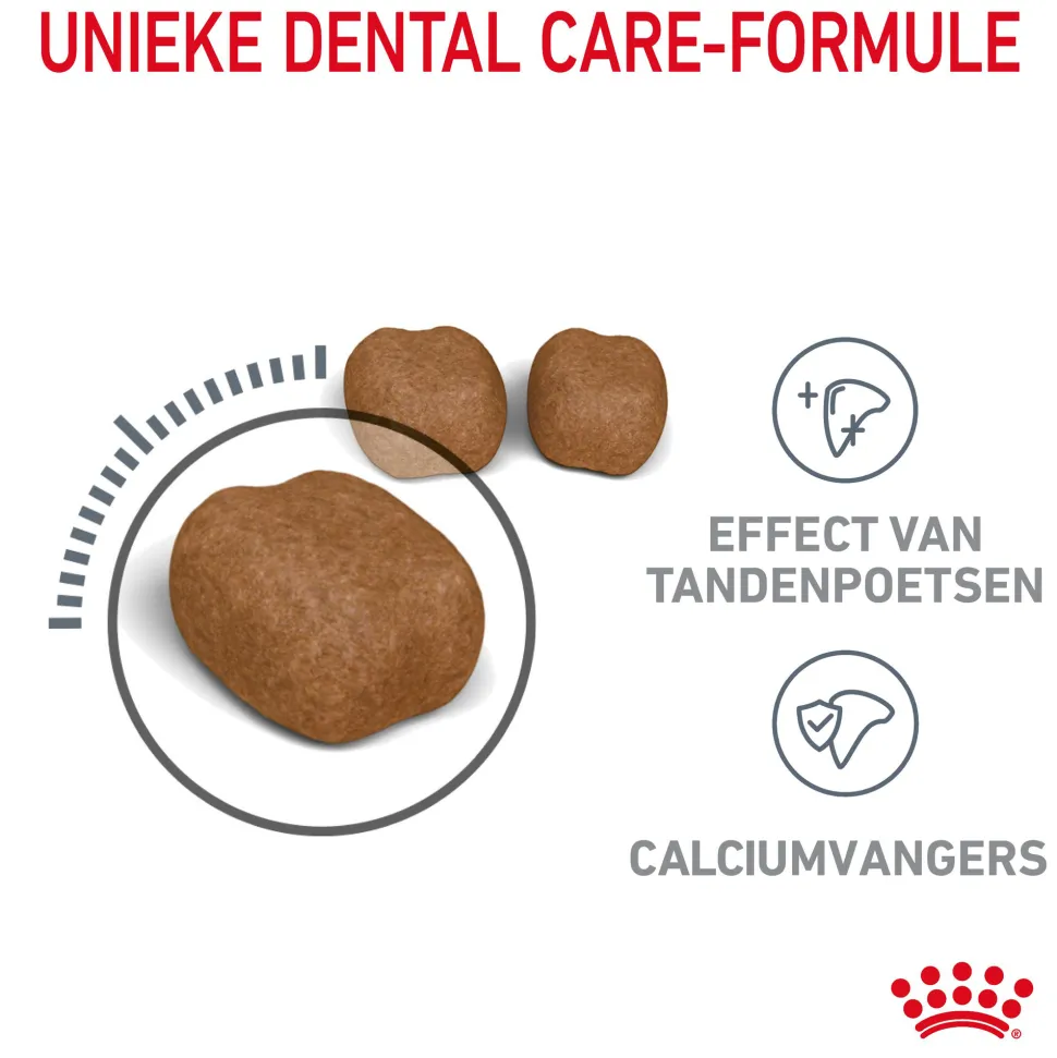 Royal Canin Dental Care - Kattenvoer