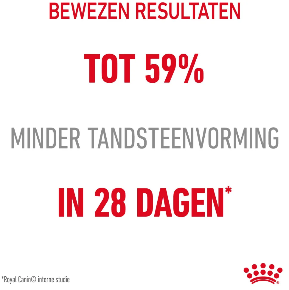 Royal Canin Dental Care - Kattenvoer