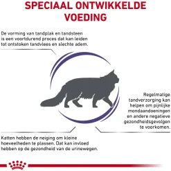 Royal Canin Dental Kat