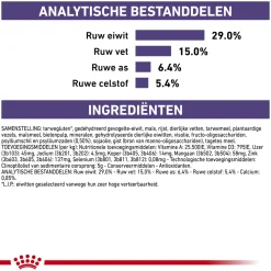 Royal Canin Dental Kat
