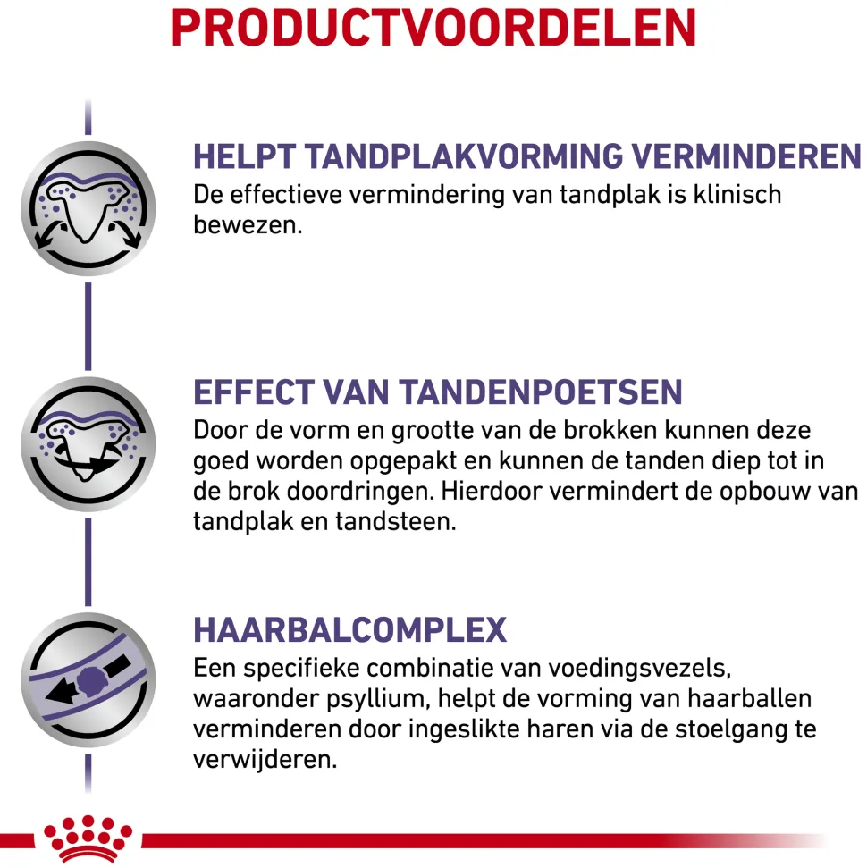 Royal Canin Dental Kat
