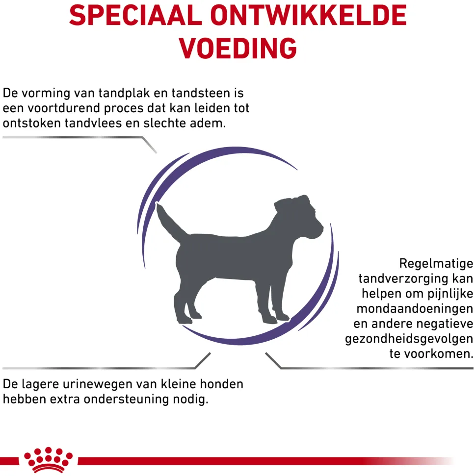 Royal Canin Dental Kleine Hond