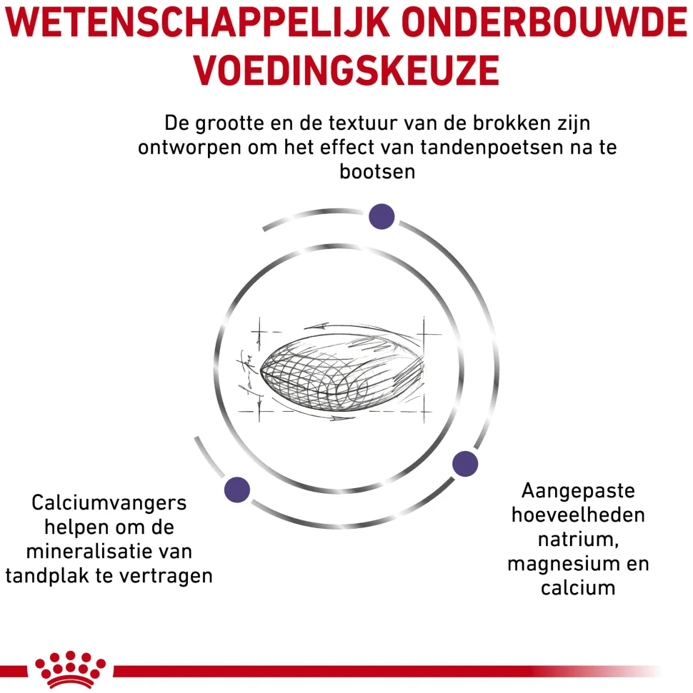 Royal Canin Dental Kleine Hond