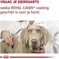 Royal Canin Dental Kleine Hond