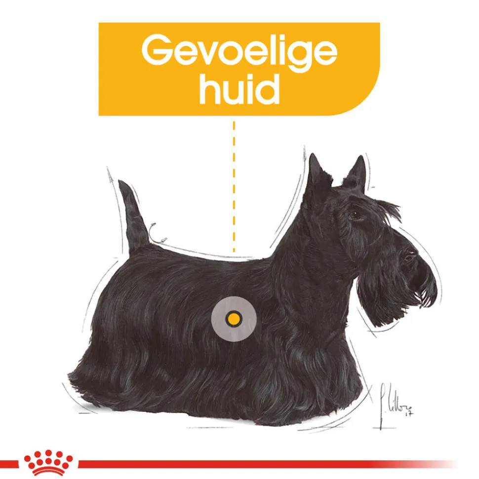 Royal Canin Dermacomfort Mini - Hondenvoer