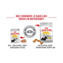Royal Canin Dermacomfort Wet - Hondenvoer