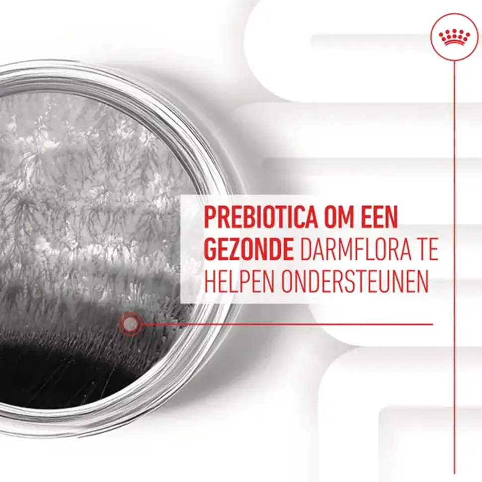 Royal Canin Digestion Supplements Chews Hond