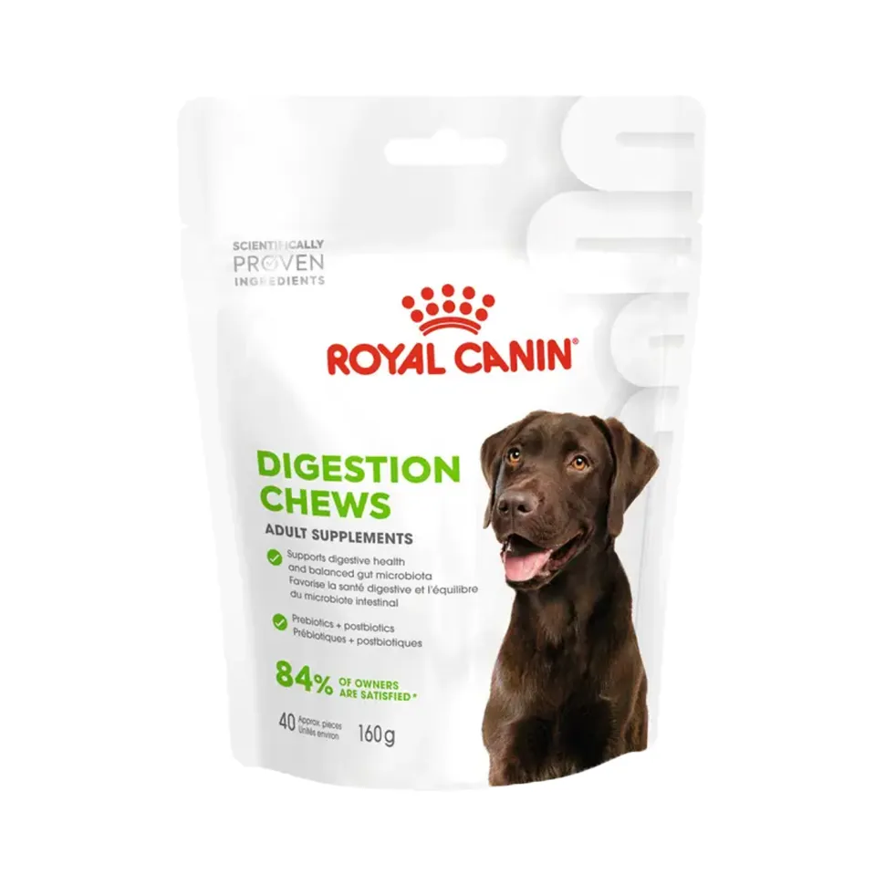 Royal Canin Digestion Supplements Chews Hond