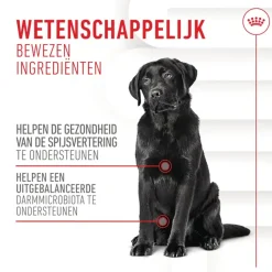 Royal Canin Digestion Supplements Chews Hond