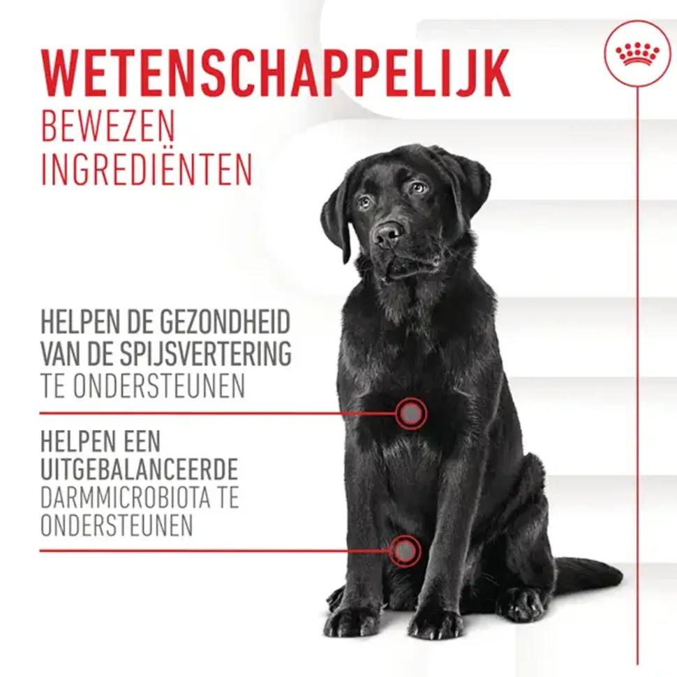 Royal Canin Digestion Supplements Chews Hond