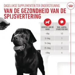 Royal Canin Digestion Supplements Chews Hond
