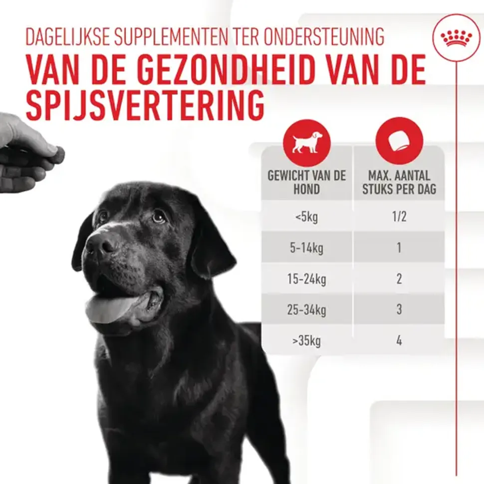 Royal Canin Digestion Supplements Chews Hond