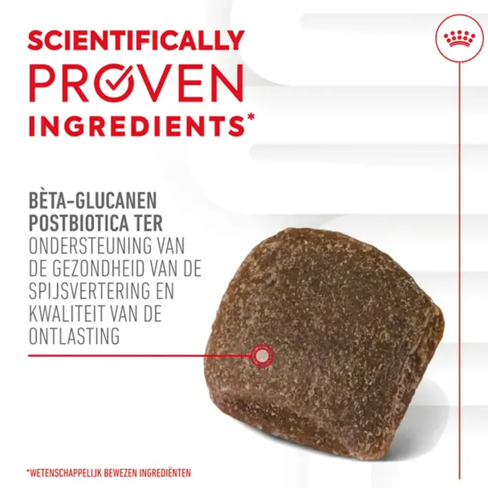 Royal Canin Digestion Supplements Chews Hond
