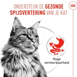 Royal Canin Digestive Care Airlift Mousse - Kattenvoer