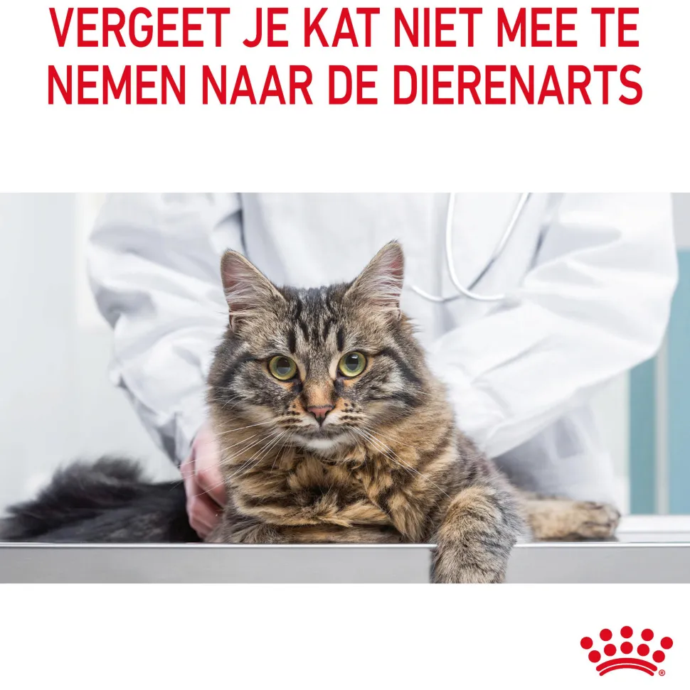 Royal Canin Digestive Care - Kattenvoer