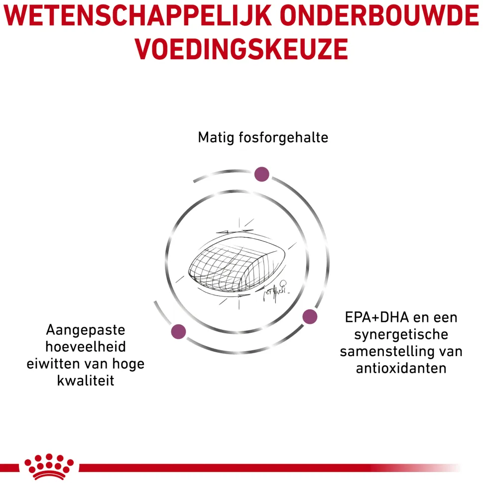 Royal Canin Early Renal Hond