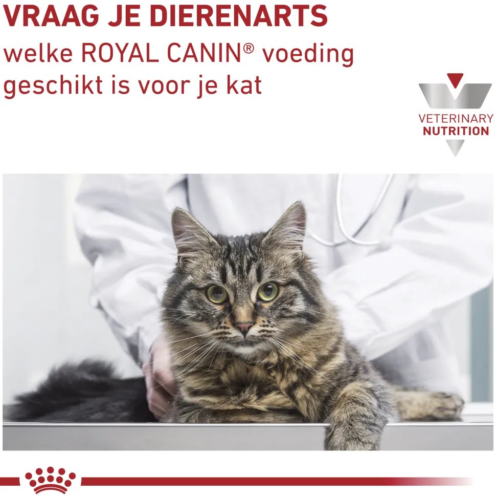 Royal Canin Early Renal in Gravy - Kattenvoer