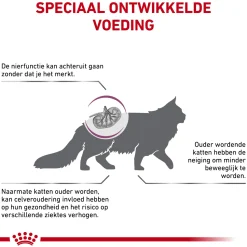 Royal Canin Early Renal - Kat